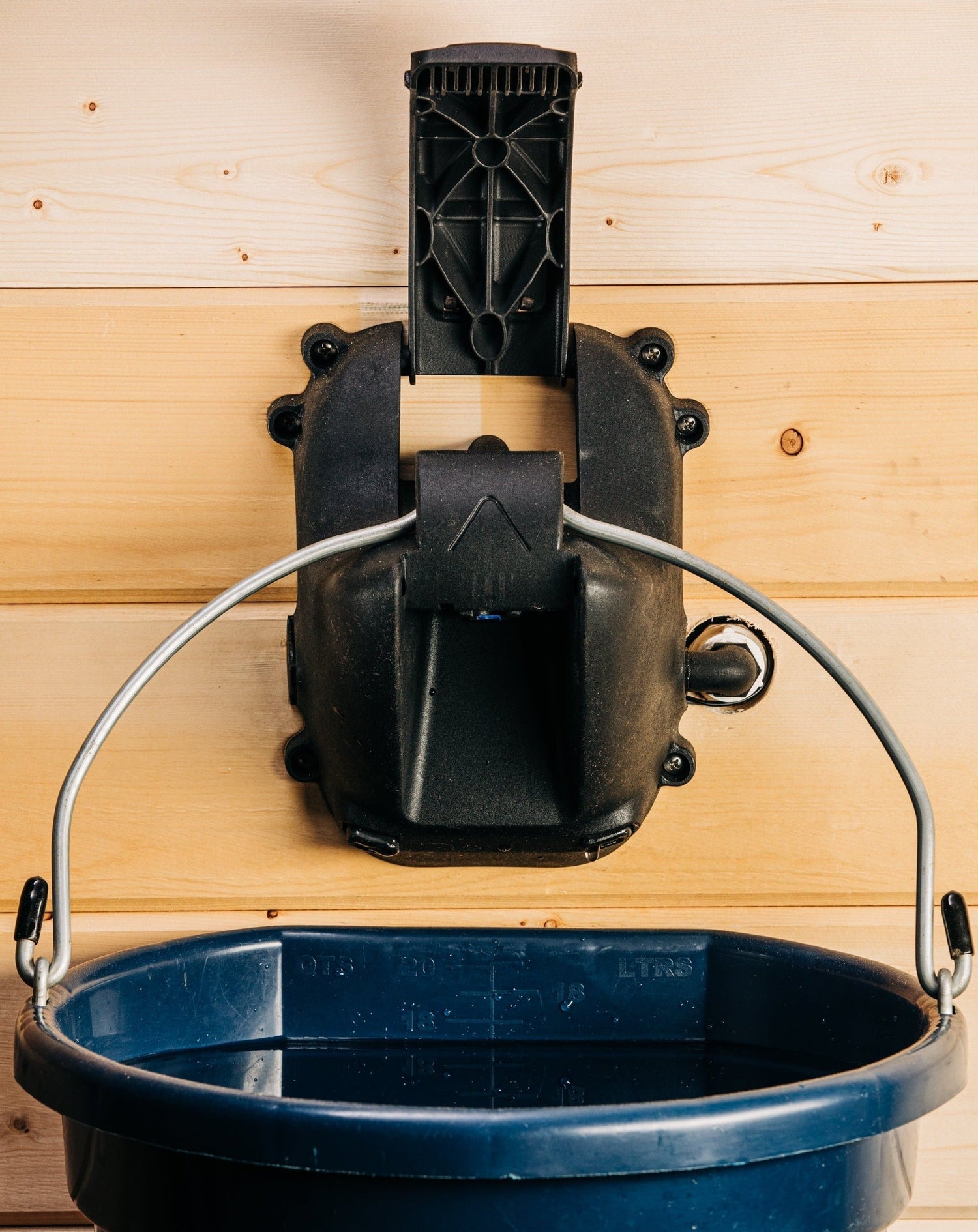 Cascada Waterer