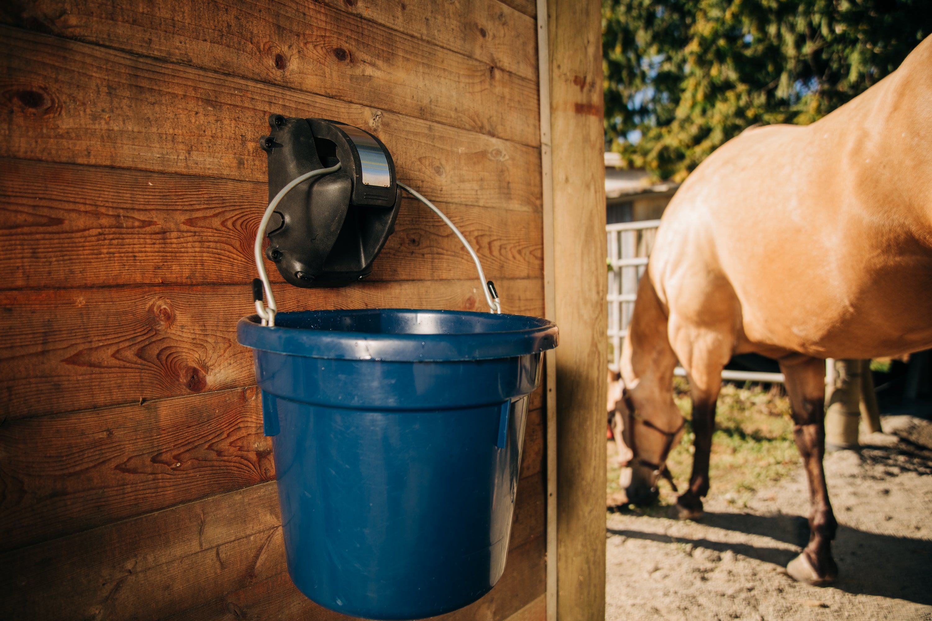 The Cascada Waterer