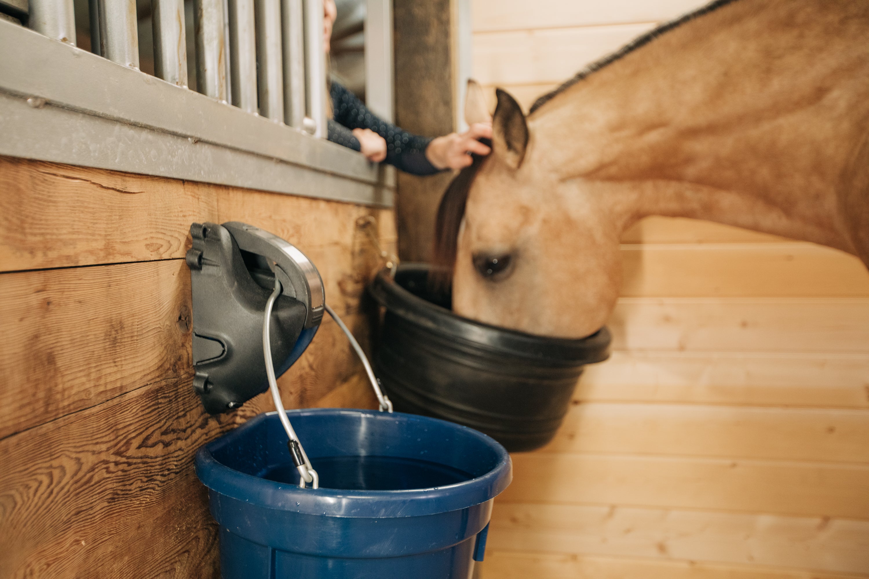 Cascada vs Nelson Horse Waterers: Which is Better?