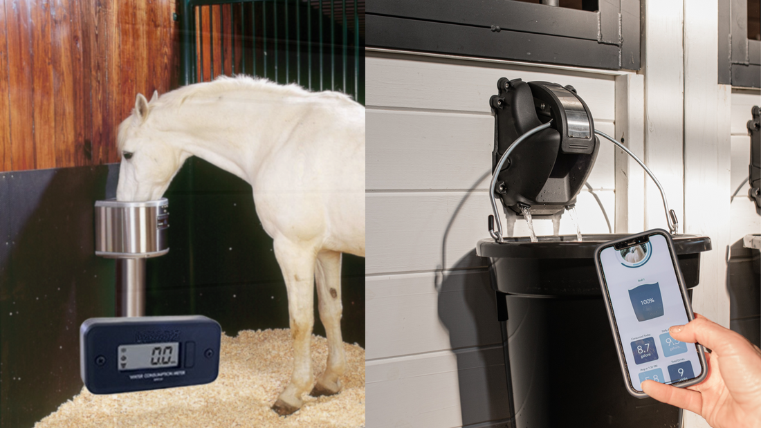 Cascada Hydration Tracking App vs. Equine Water Meters: Compare Horse