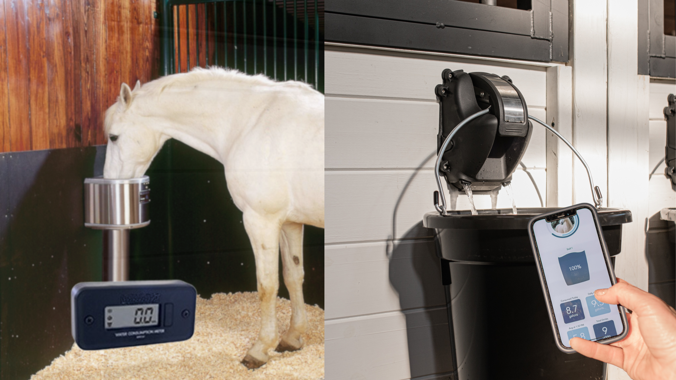 Horse Hydration Tracking and Monitoring Cascada App vs. Meter