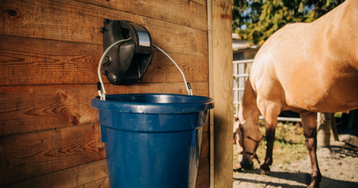 The Ultimate Guide to Selecting the Best Automatic Horse Waterer System for Your Horses