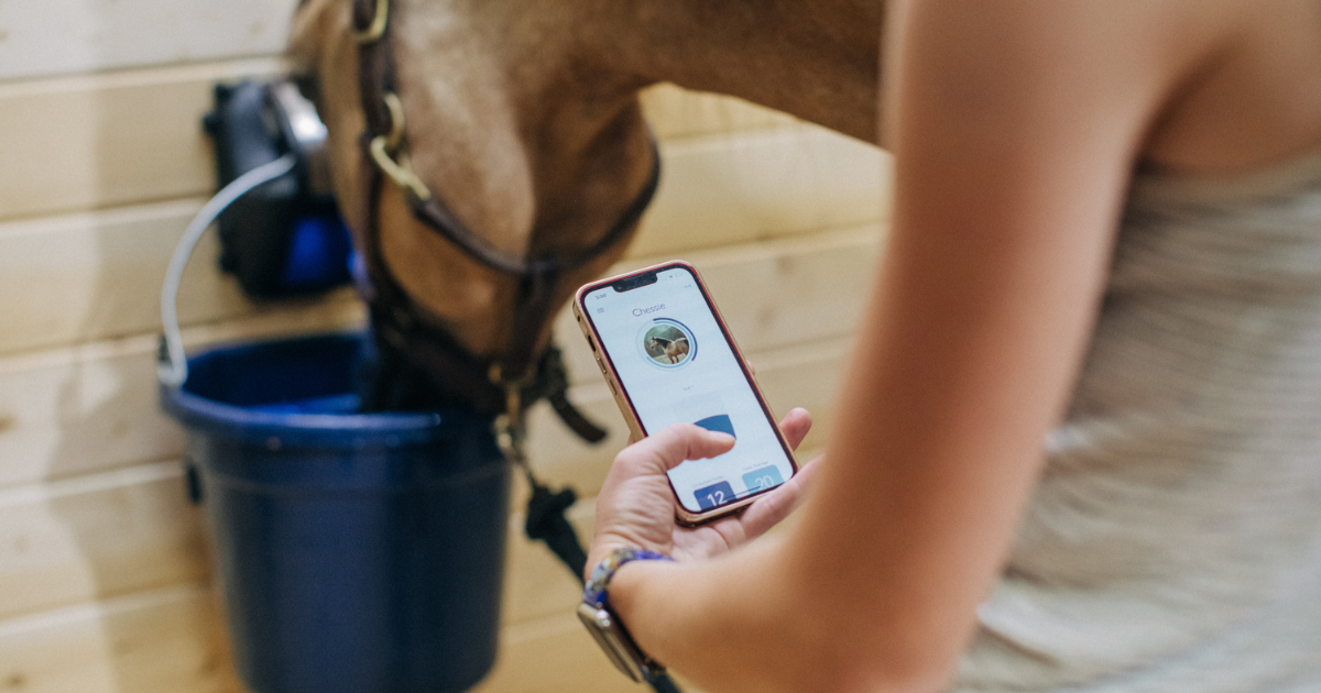 Why You Shouldn't Use Traditional Livestock Waterers for Horses