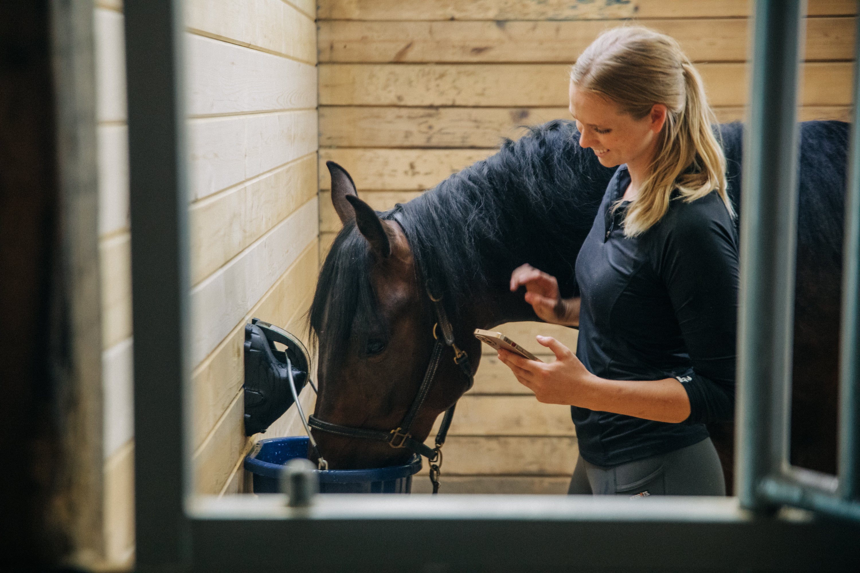 Load video: Horse Hydration Tracking App